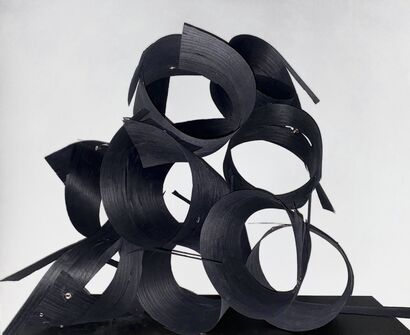 Escaped  - A Sculpture & Installation Artwork by 'cVanO