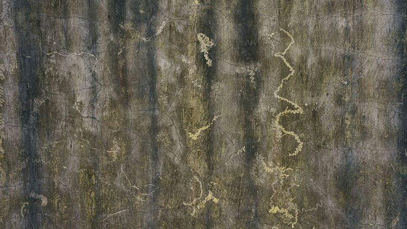 Abstract Landscape exterior wall - a Photographic Art by Flup Janssens 