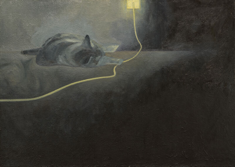 Cat Connected - a Paintings by Kentaro Tada