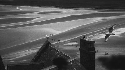 Wandering - a Photographic Art Artowrk by Sophie