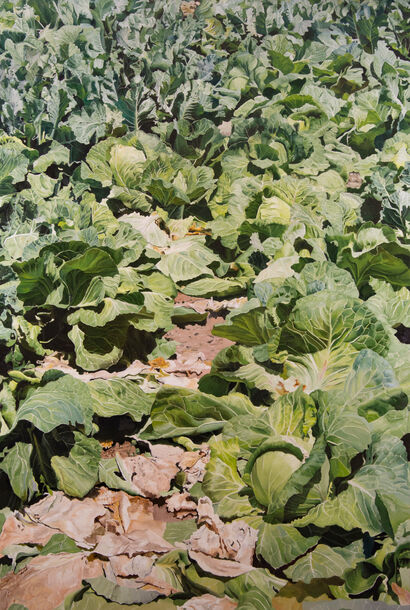 Cabbage field - A Paint Artwork by Esther Huser