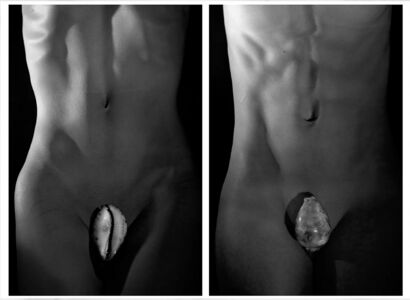 CONSTRUCTION AUTONOME DU GENRE - a Photographic Art Artwork by charley