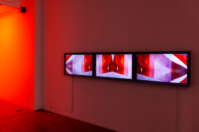 The Blood of the Bloodless  - a Video Art Artowrk by Lidija  Ristic