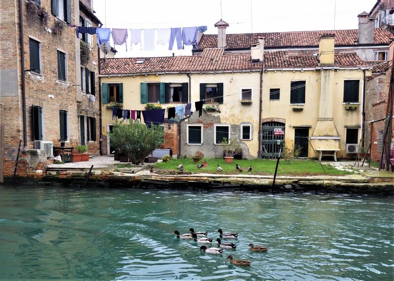 Venice - Pop 4 - a Photographic Art by Andrea Perin - Lo scrittore della laguna