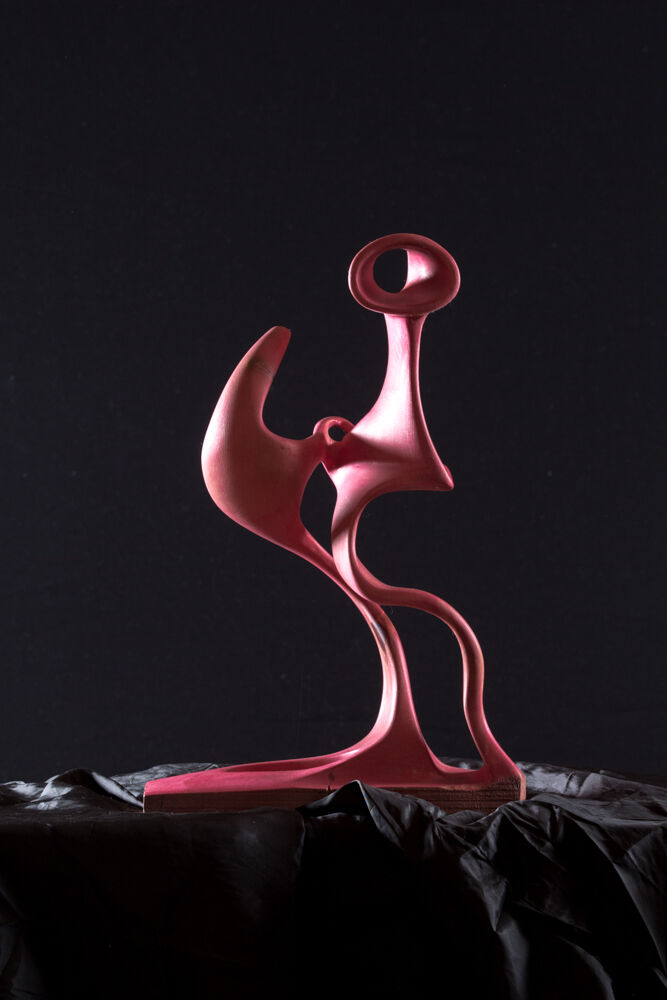 Donna - a Sculpture & Installation by davide sertorelli
