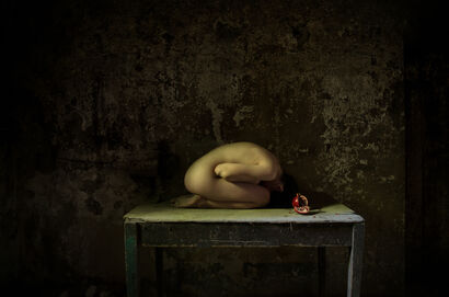Pomegranate - A Photographic Art Artwork by Iolanda Di Bonaventura