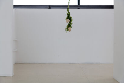 è pieno di nidi di vespa lungo il sentiero - a Sculpture & Installation Artowrk by Elena Guerreschi