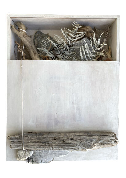 Natural Box - A Sculpture & Installation Artwork by Claudio Sapienza