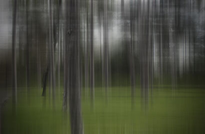 BdB - Bois de Boulogne - a Photographic Art Artowrk by Tristan D. Grey