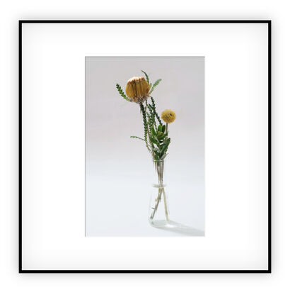 Flower - a Photographic Art Artowrk by 佐久間大進