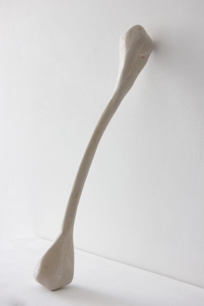 Sem Título (Osso II) (No Title (Bone II)) - a Sculpture & Installation Artowrk by Maria Elisa Vale