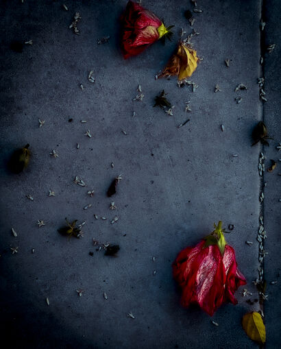 Crimson Shadows - A Photographic Art Artwork by Alva Martín