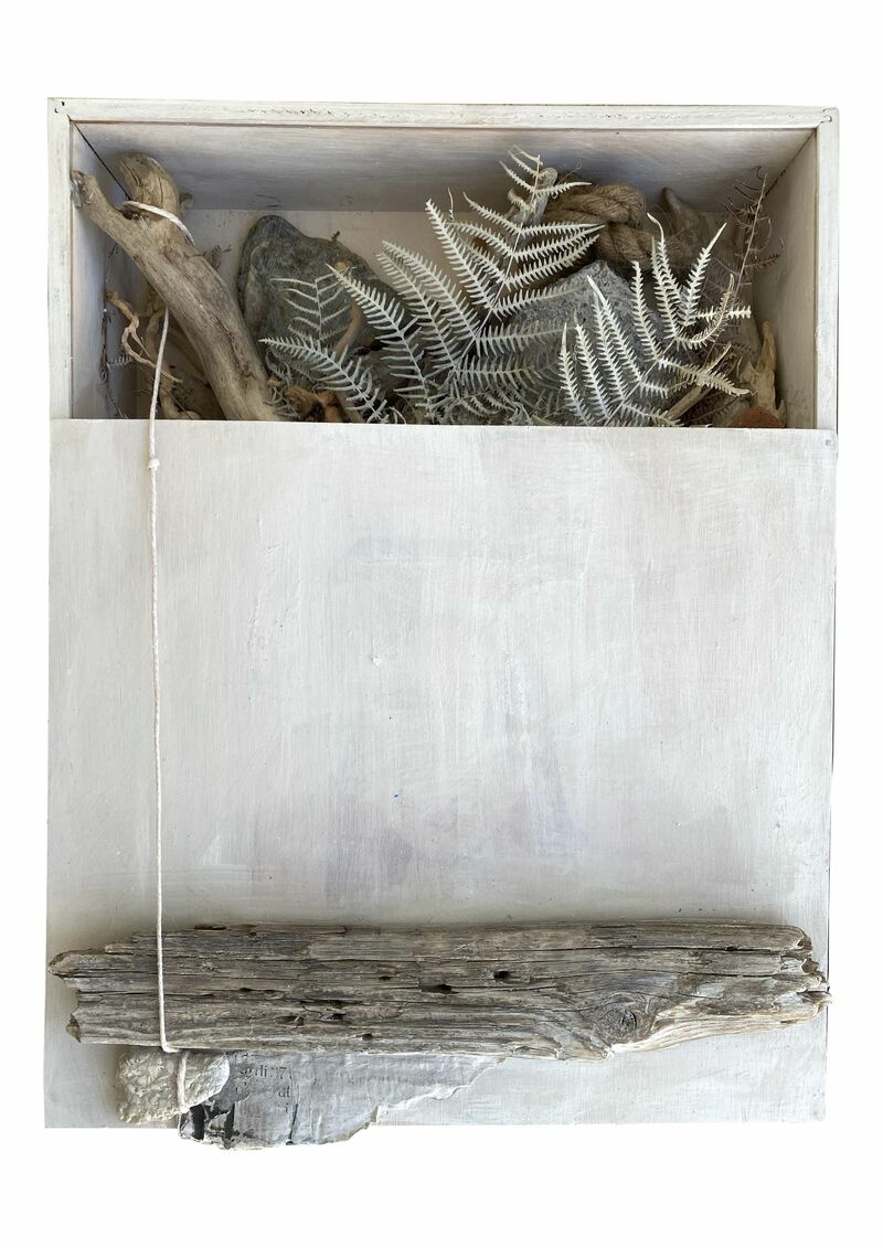 Natural Box - a Sculpture & Installation by Claudio Sapienza