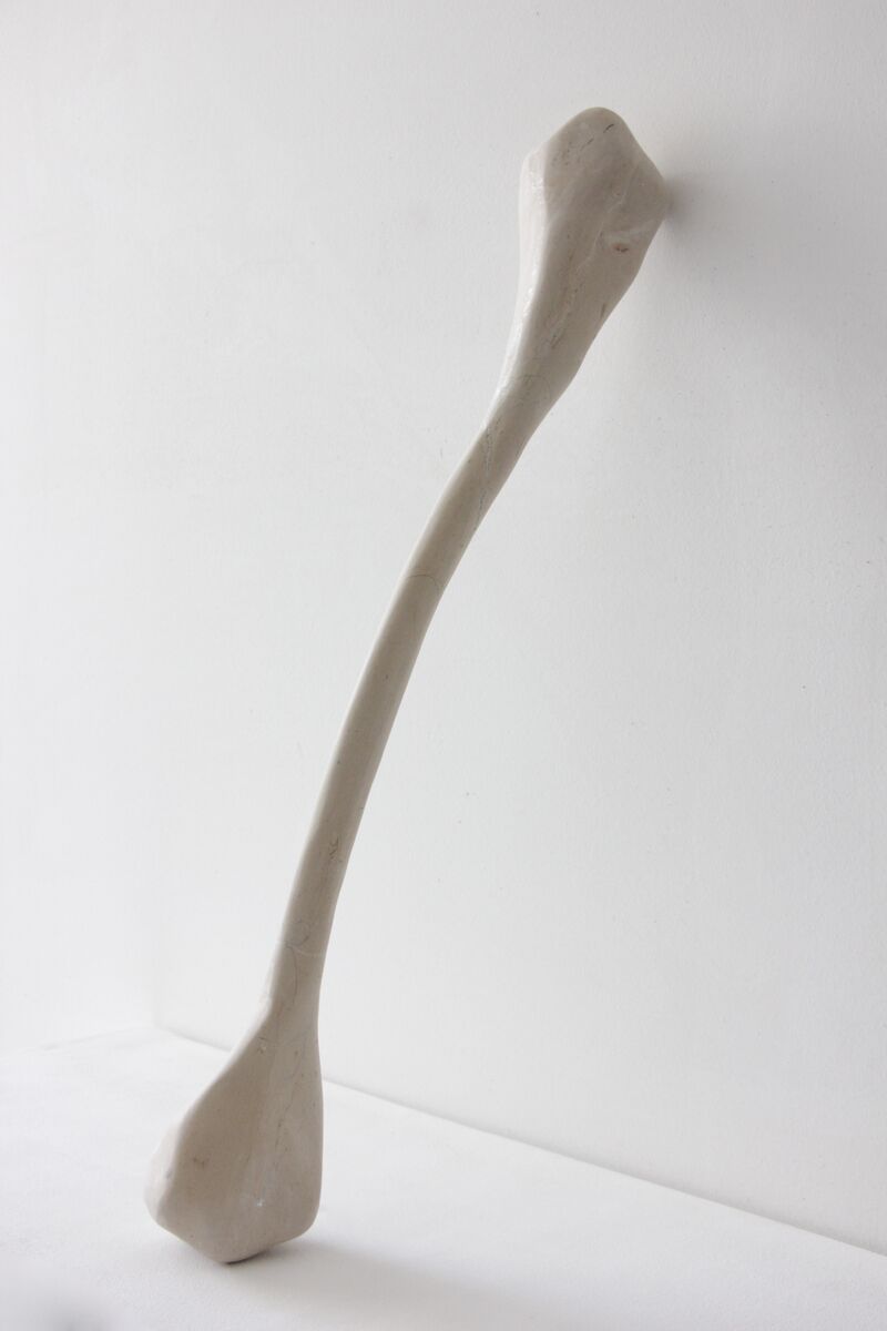 Sem Título (Osso II) (No Title (Bone II)) - a Sculpture & Installation by Maria Elisa Vale
