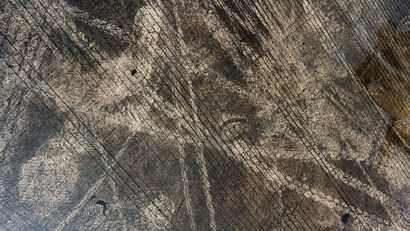 Abstract Landscape - a Photographic Art Artowrk by Flup Janssens 