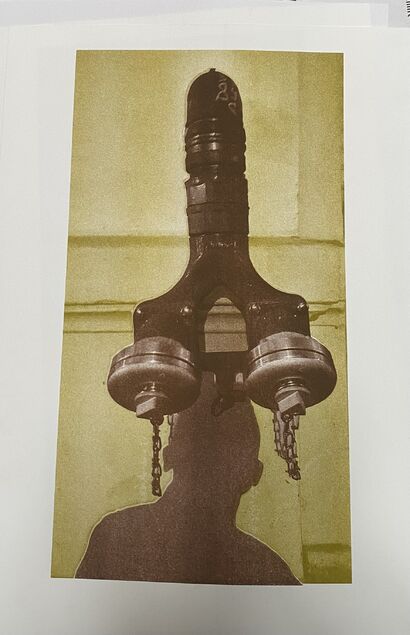 Fire hydrant  - a Photographic Art Artowrk by Alexandre Levi