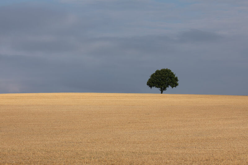 England Countryside #02 - a Photographic Art by Cristian Stefanescu