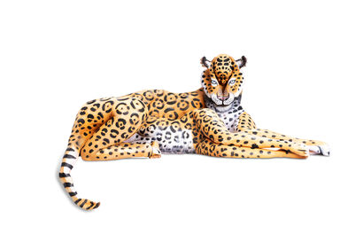 the jaguar - a Photographic Art Artowrk by Mathias Kniepeiss