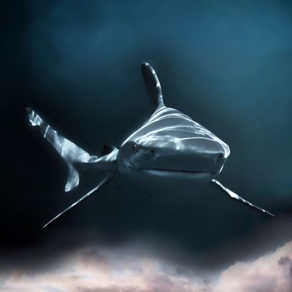 Sharks of Jupiter - a Photographic Art Artowrk by Aîa Mar