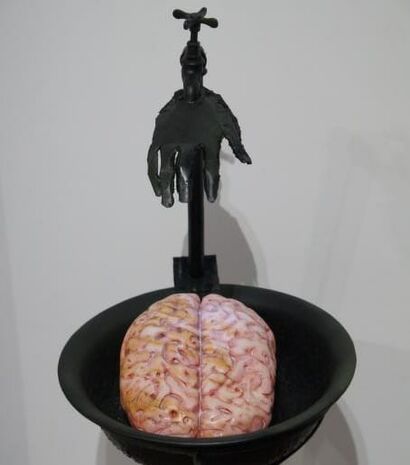 Lavagem Cerebral/Brain Wash - A Sculpture & Installation Artwork by Suzana Henriqueta 