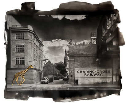 Giraffe at Charing Cross - a Photographic Art Artowrk by Paal Anand