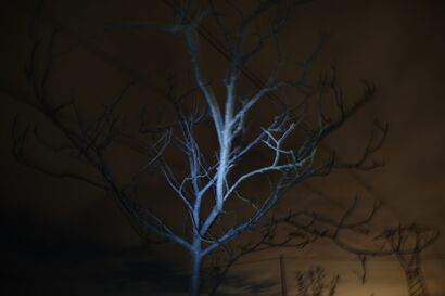 Dark Light - a Photographic Art Artowrk by Luca Fiore