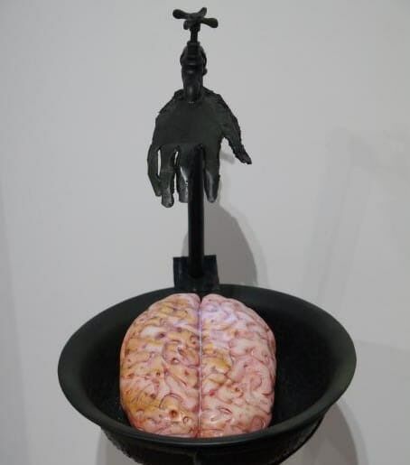 Lavagem Cerebral/Brain Wash - a Sculpture & Installation by Suzana Henriqueta 