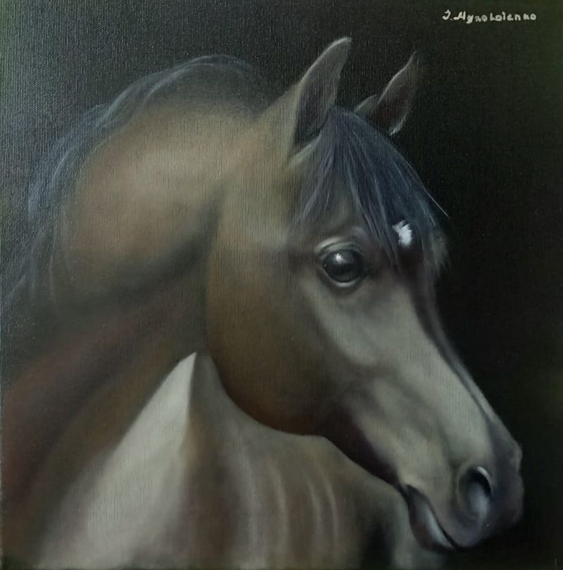 Arabian horse - a Paintings by Iryna  Mykolaienko 