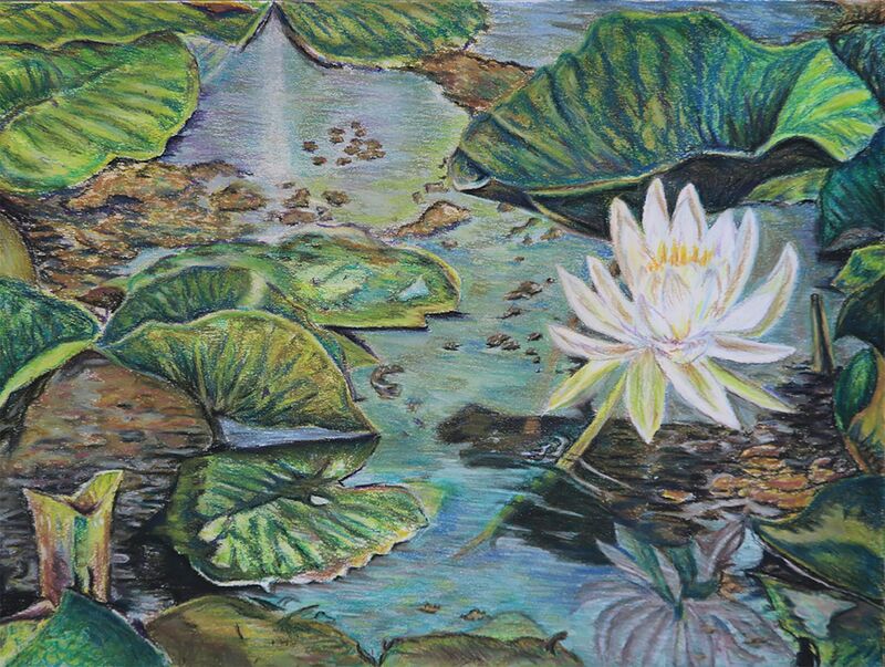 Lily Pond - a Paint by Lisa Ernest