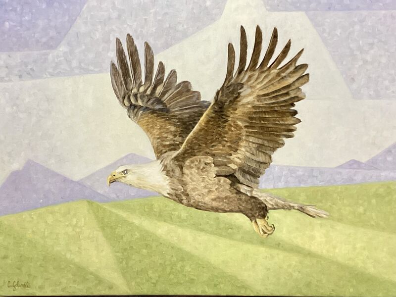 Volo aperto - a Paintings by Clara Golinelli