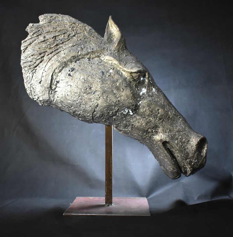 Testa di cavallo - a Sculpture & Installation by Emanuele Ghiotti