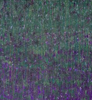 Iris nel verde - a Paintings by sergio lion