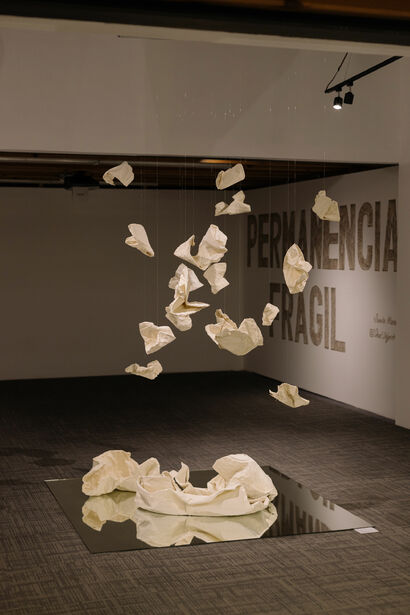 Despliegue  - a Sculpture & Installation Artowrk by Zamira  Mtanous 