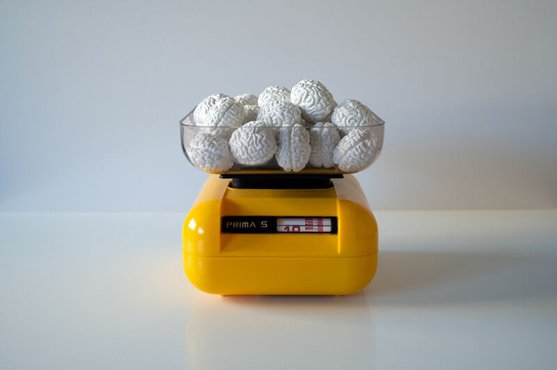 SERIE: All For Sale! 900 gr of reason | 1000 gr of vision | 600 gr of feeling - a Sculpture & Installation by Hamraz Darugar