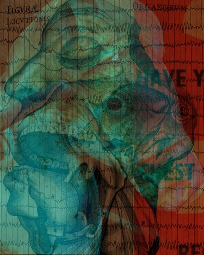 Loose Horse 019 - a Photographic Art Artowrk by JW Andrew