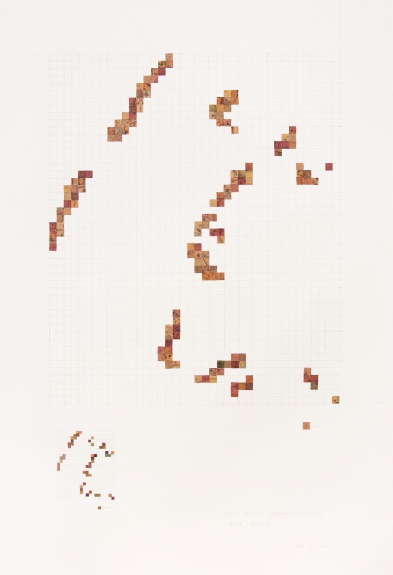Prunus avium, geographical distribution (Terrafuturism) - a Land Art by Milah van Zuilen