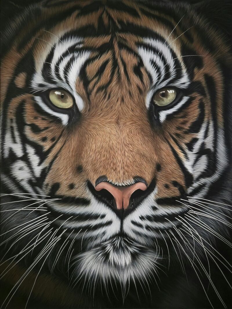 Mau - a Paintings by Paulina Wróblewska