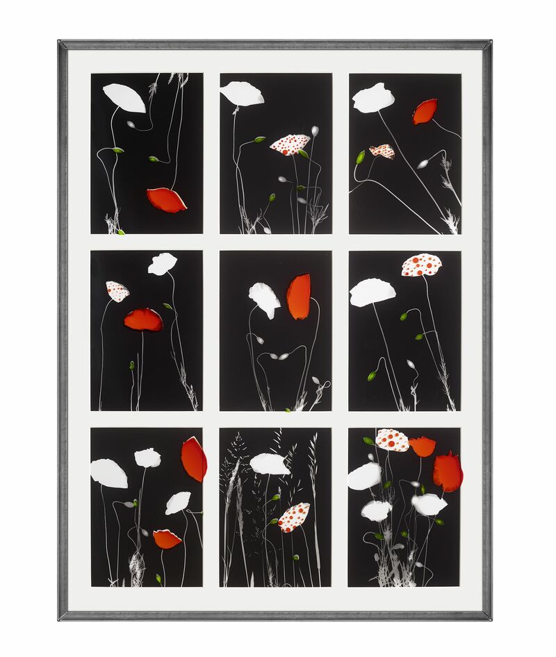 Coquelicots - a Art Design by Mira Kaissi