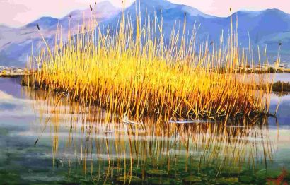 LE LUCI DEL CANNETO  - a Paintings Artwork by GIANFRANCO DONATI