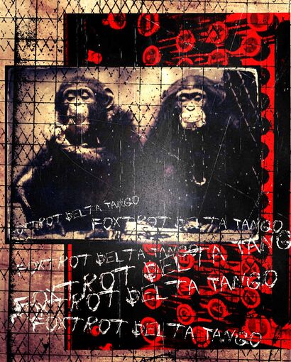 infinite monkey 03 - a Photographic Art Artowrk by JW Andrew