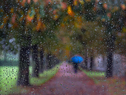 Another rainy day - a Photographic Art Artowrk by Giorgio Toniolo