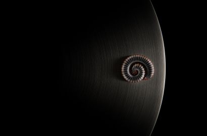 Lost In Thought - a Photographic Art Artwork by Adam Neuba