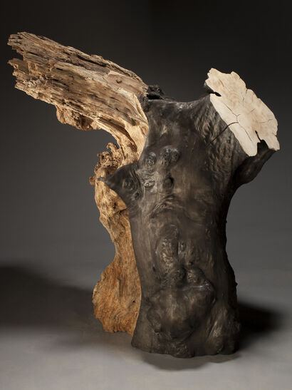 Samothracae - a Sculpture & Installation Artowrk by Jack Elliott