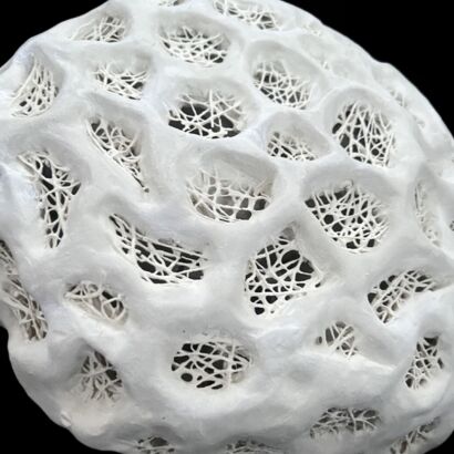 Mycelium Unearthed: Nature's Hidden Stewards - A Sculpture & Installation Artwork by Mandy Chen