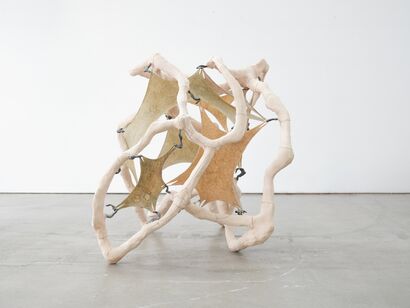 Boundless Flesh - a Sculpture & Installation Artowrk by hongru zhang