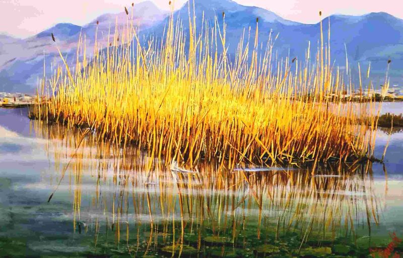 LE LUCI DEL CANNETO  - a Paintings by GIANFRANCO DONATI
