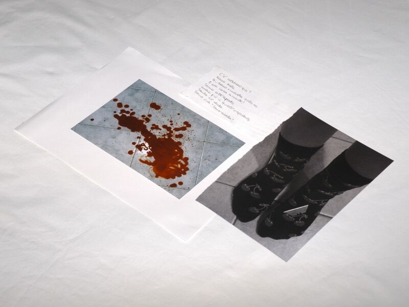 Criminal Profiling (Evidence 4) - a Photographic Art by Francesca Paoletta