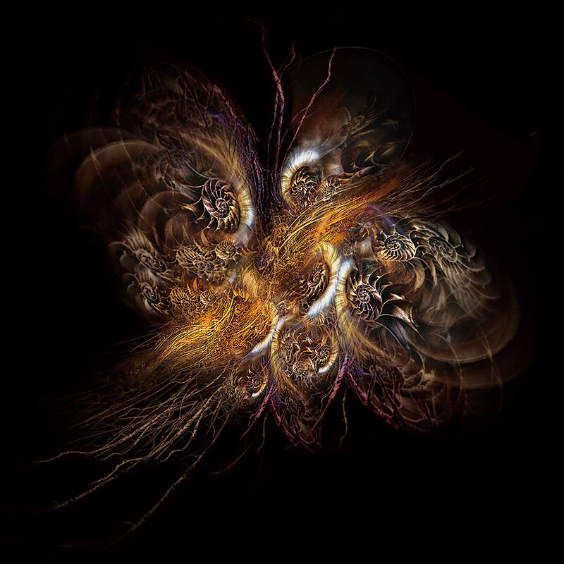 Nautilus Universe- Branching - a Digital Art by sensegraphia