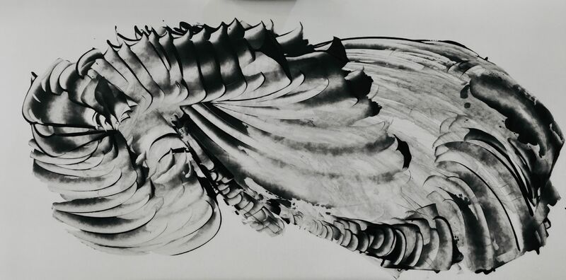 In black and white V - a Paint by Janice Young