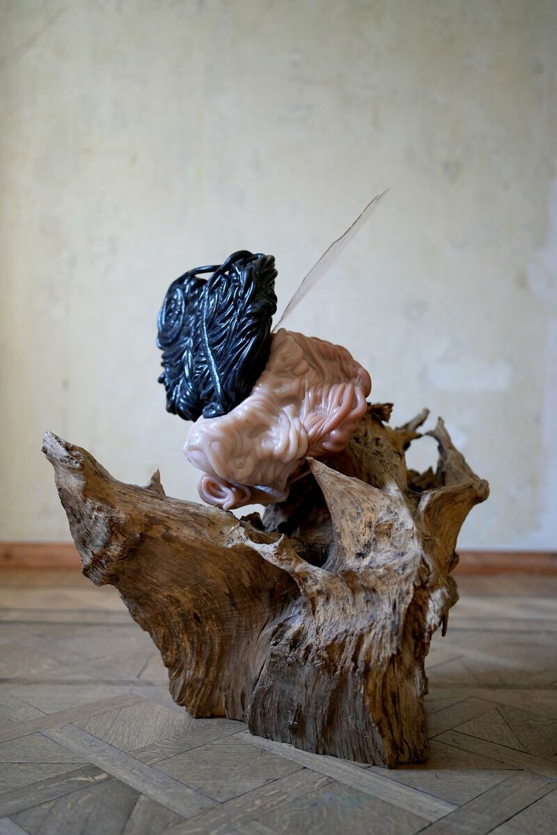 Esteragenes - a Sculpture & Installation by Elnara Nasirli
